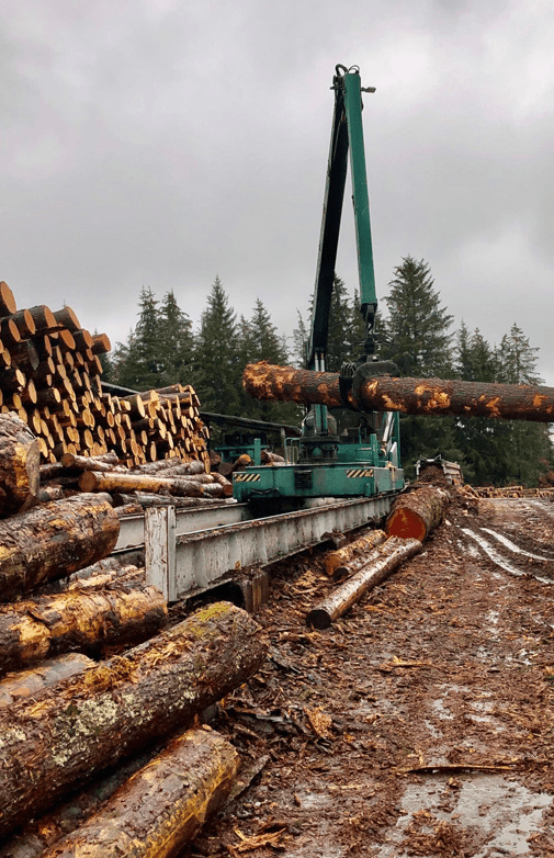 Saint Angel Forest : exploitant forestier à Saint-Angel en Corrèze (19)